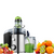 Kalandula Steel Juicers Maker Whole Fruit 800W