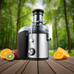 Kalandula Steel Juicers Maker Whole Fruit 800W