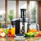Kalandula Steel Juicers Maker Whole Fruit 800W